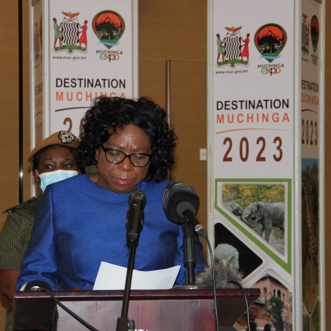 Government Launches Muchinga Province Expo Website, Urges Organisers to Work Closely with ZDA