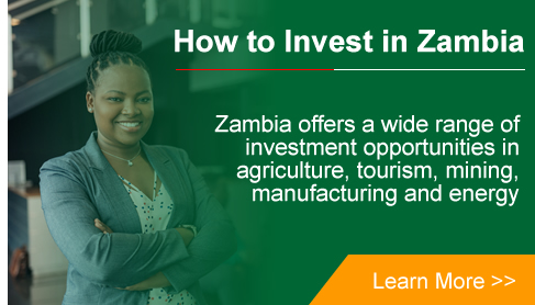 Zambian Investment Projects - Zambia Development Agency - ZDA